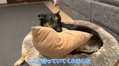 お風呂から上がるまで待っていてくれました♪