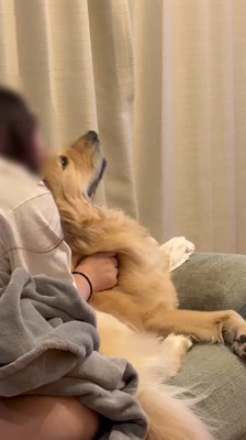 さらに泣きだし、犬の背中に顔を埋める女性
