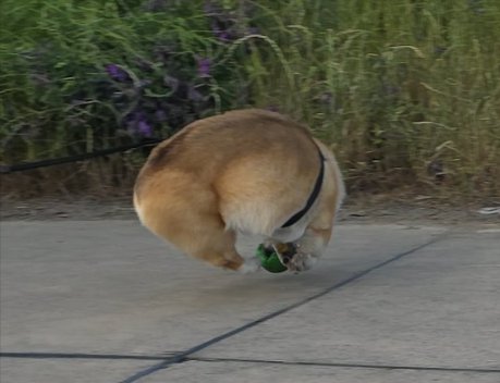 行方不明