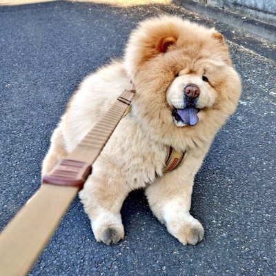 拒否