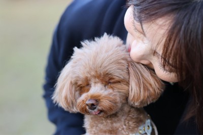 抱きしめられて嫌そうな犬