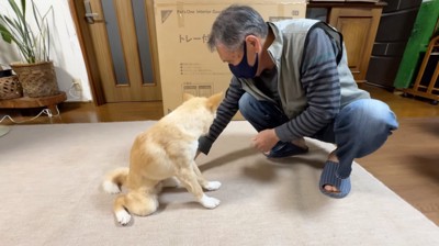 擦り合わせた手を犬の足に触れるおじいちゃん