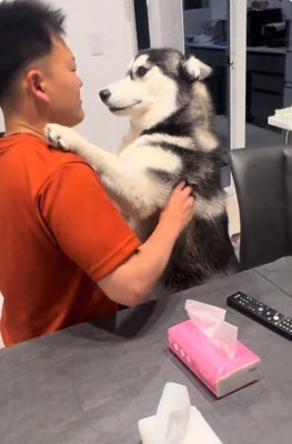 パパに手をかけるニーナちゃん