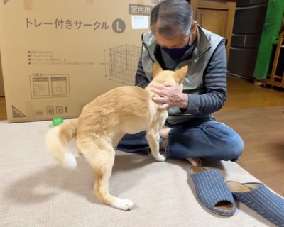 犬を優しく撫でるおじいちゃん