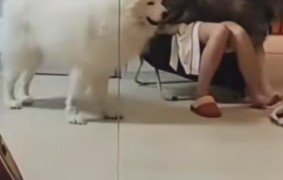 膝の上に乗っていたのは…