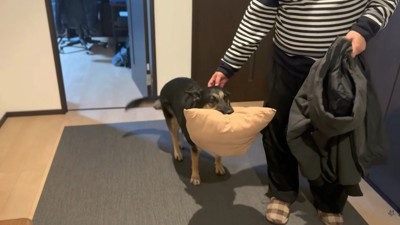 「おやすみ」とナデナデ