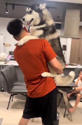 抱っこされるニーナちゃん