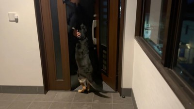 飛びついて熱烈歓迎♪