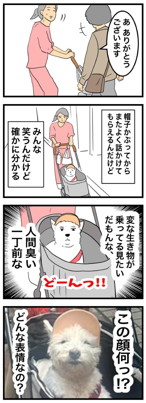 ちーちゃんですけどもっ【第362話】　2