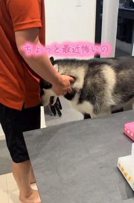 体を押し付けるニーナちゃん
