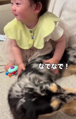 なでなでも強め！？