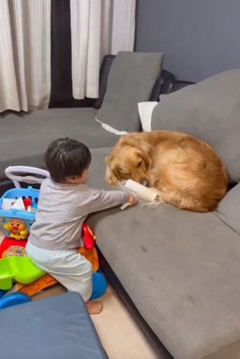 コロコロをする息子さん