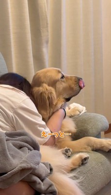 女性に泣きつかれて自分の口元を舐める犬