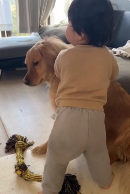諦め顔のピノくん