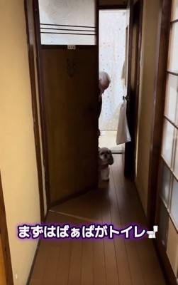 トイレについていく小梅ちゃん