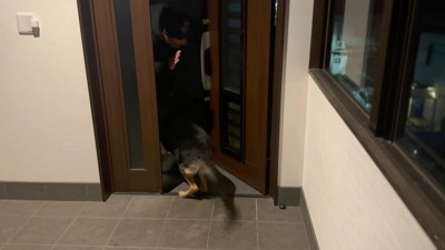 パパさんが帰ってきたら…