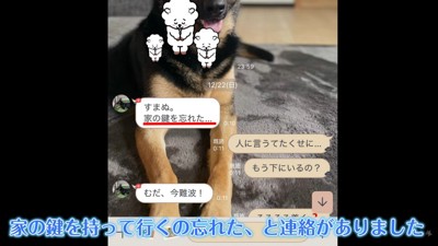 パパさんから「鍵を忘れた」と連絡が
