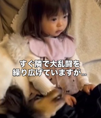 大乱闘している隣で…