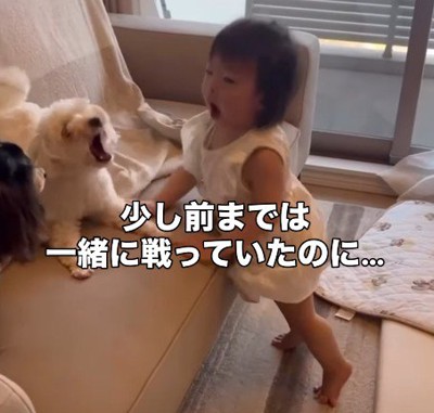 少し前は参戦していたそう