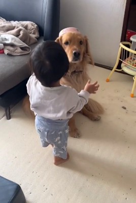 被り物をするピノくん