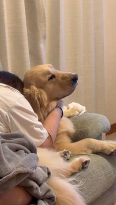 泣いている女性に抱きしめられる犬