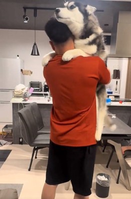 おりたくないニーナちゃん