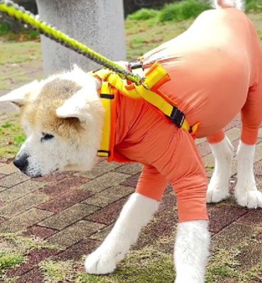 「これ以上進みたくない…」