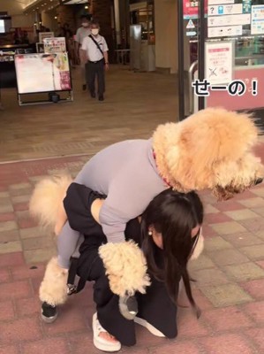 「せーの！！」