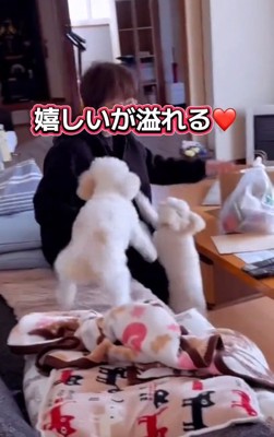嬉しい2匹