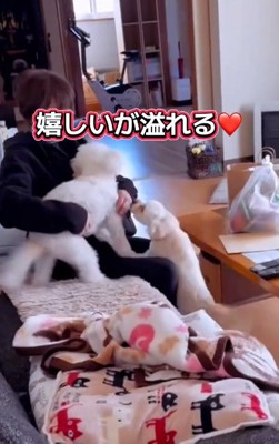 尻尾を振る2匹