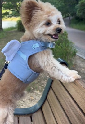 天使のような姿にキュン♡