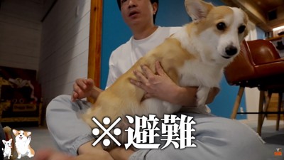 パパさんのお膝に避難