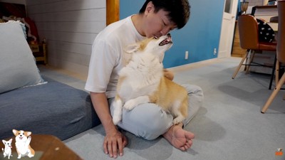 「もう動くんじゃねーぞ！」
