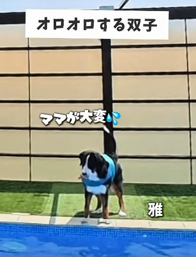 雅ちゃんはオロオロ