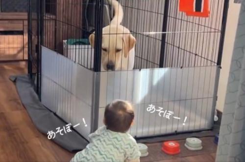 困惑