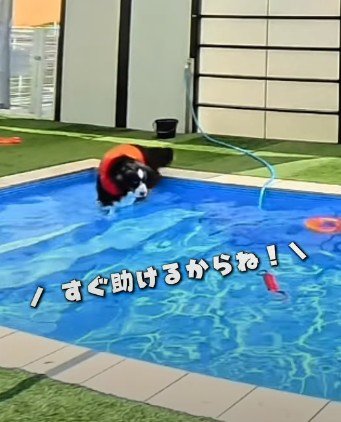 「助けなきゃ！」