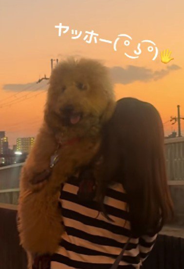 「ここが一番落ち着く♡」