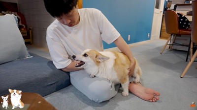 トイレにも行かせてくれません（笑）