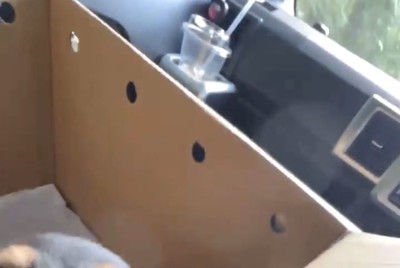 車内のダンボール箱