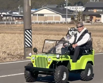 サングラスをかけてミニカーに乗るハスキー犬と男性