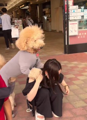 嬉しそうに背中へ♡