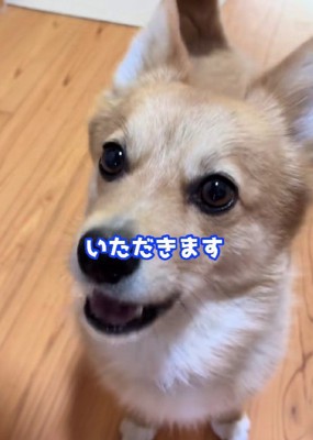 ごほうびが贈られた
