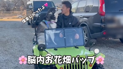 男性の口を舐めるハスキー犬
