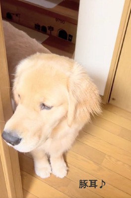 「ヤッター♪」