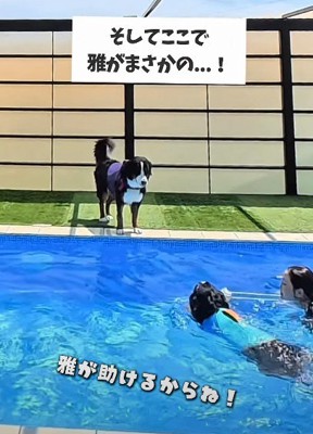 紐をパクリ