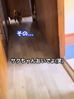 遠慮がちに二の足を踏む