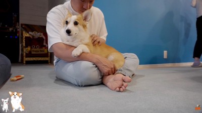 食べ終わったらすぐお膝の上へ
