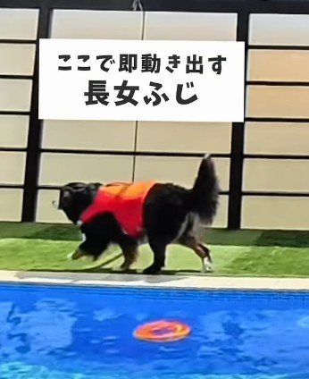 ふじちゃんが先陣を切る