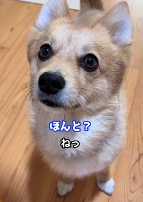 信頼関係にホッコリ