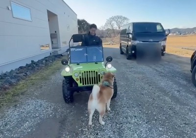 ミニカーのフロント部分に顔を近づける柴犬